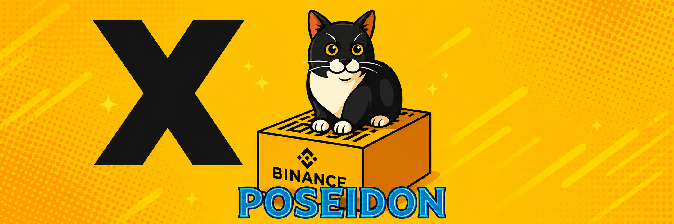 Binance Cat Banner